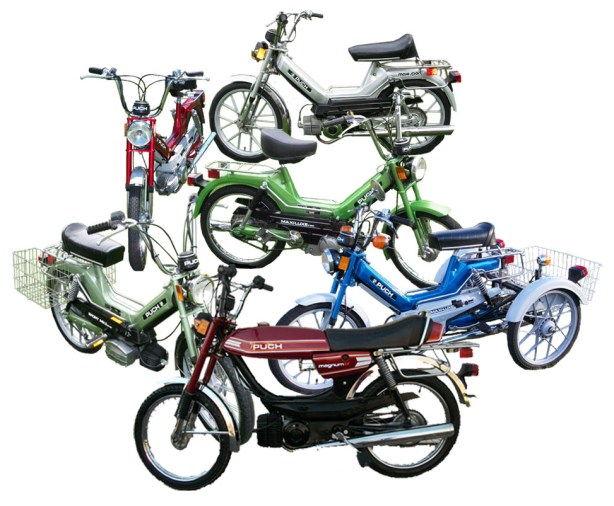 Puchs without backgrounds