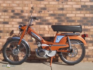 1980 Copper Moby-1