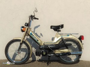 1979 Gold Maxi II-3